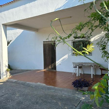 Willa Casa Domitia Latiano Zewnętrze zdjęcie