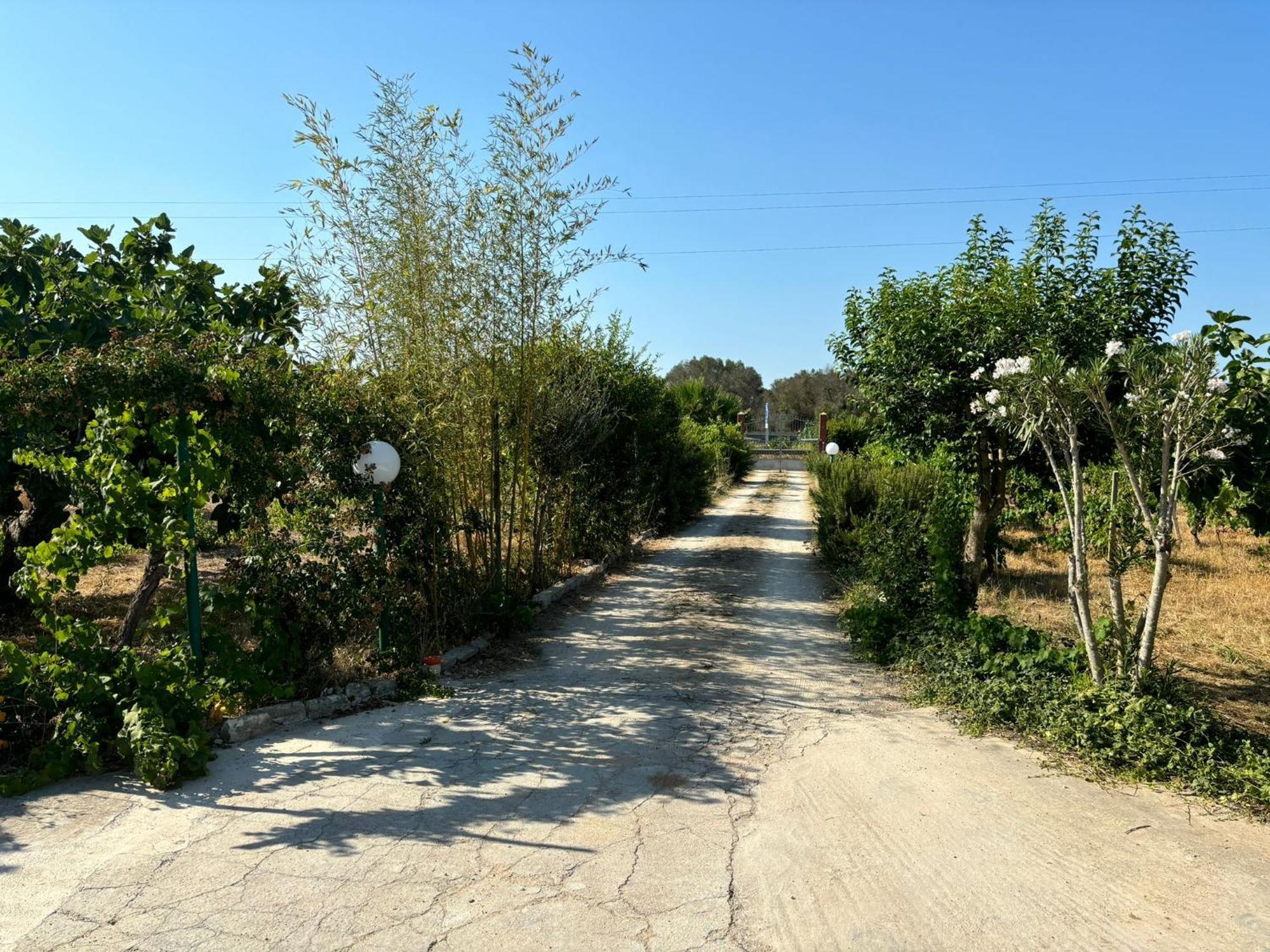 Willa Casa Domitia Latiano Zewnętrze zdjęcie
